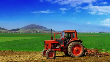 Wereldwijd dringend meer landbouwgrond nodig voor voedsel Wereldwijd dringend meer landbouwgrond nodig voor voedsel