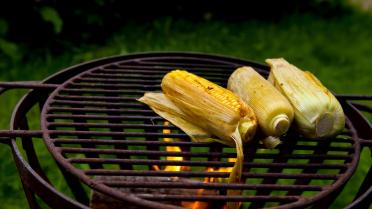 Welkom op de nationale veggie BBQdag!