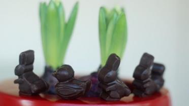 Lactosevrij koken: zelfgemaakte paasfiguurtjes in chocolade