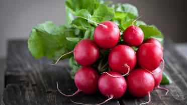 Lekkers van het seizoen: 5 keer prijs met radijs