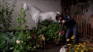 Angelo maakt zijn tuin winterklaar