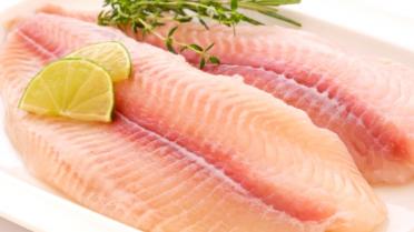 pangasius