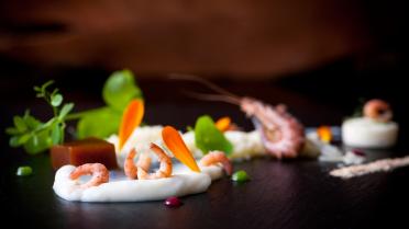 Trio van bloemkool en grijze garnalen