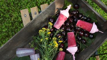 Cranberry-kers ijsje met vanilleyoghurt