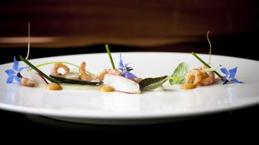Grijze garnalen met mosselen, yoghurt met mosterdzaad, vinaigrette van koriander