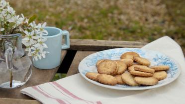 Petit beurre koekjes