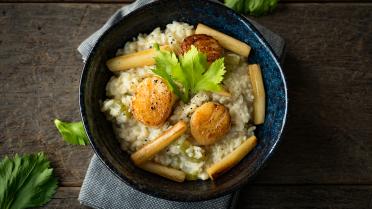 Risotto met schorseneren en Sint-Jakobsvruchten