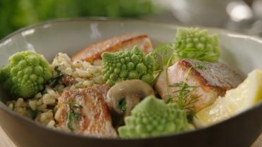 Risotto met romanesco en zalm