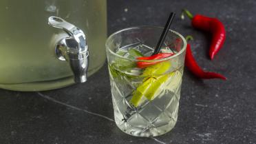 Jen-ojito: pittige cocktail met jenever, limoen en chili
