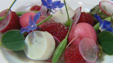 Salade met radijs en panna cotta van kaas