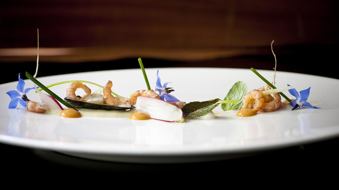 Grijze garnalen met mosselen, yoghurt met mosterdzaad, vinaigrette van koriander